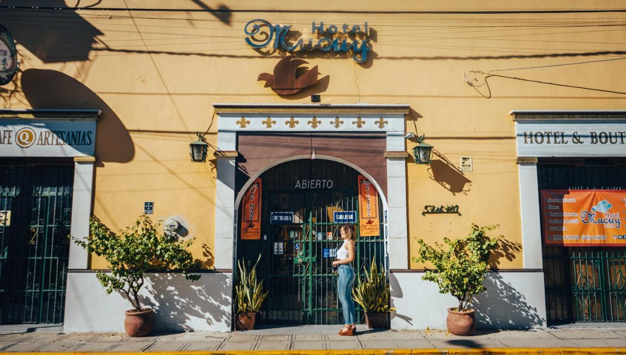 Mucuy Mérida